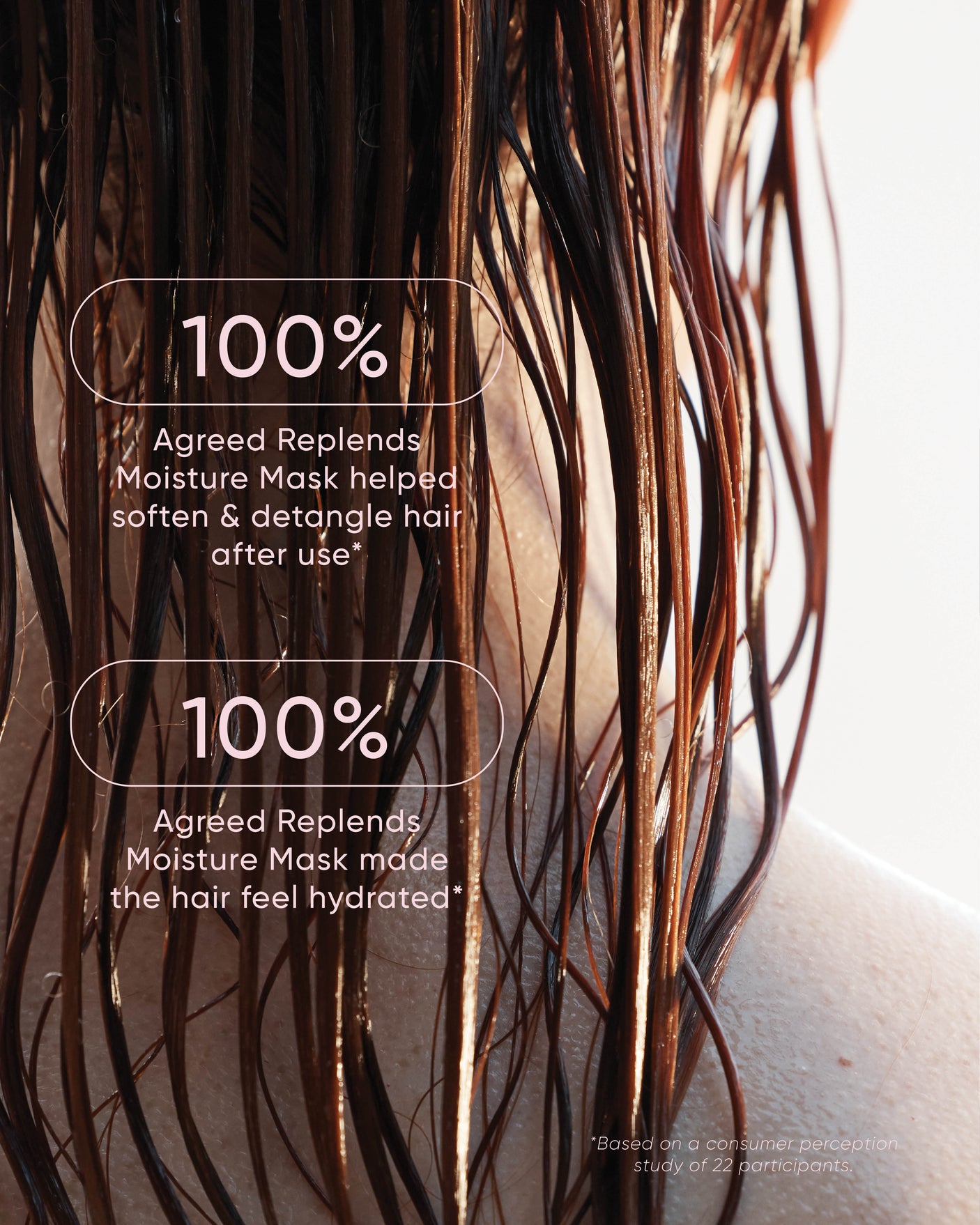 Curl Discovery Set