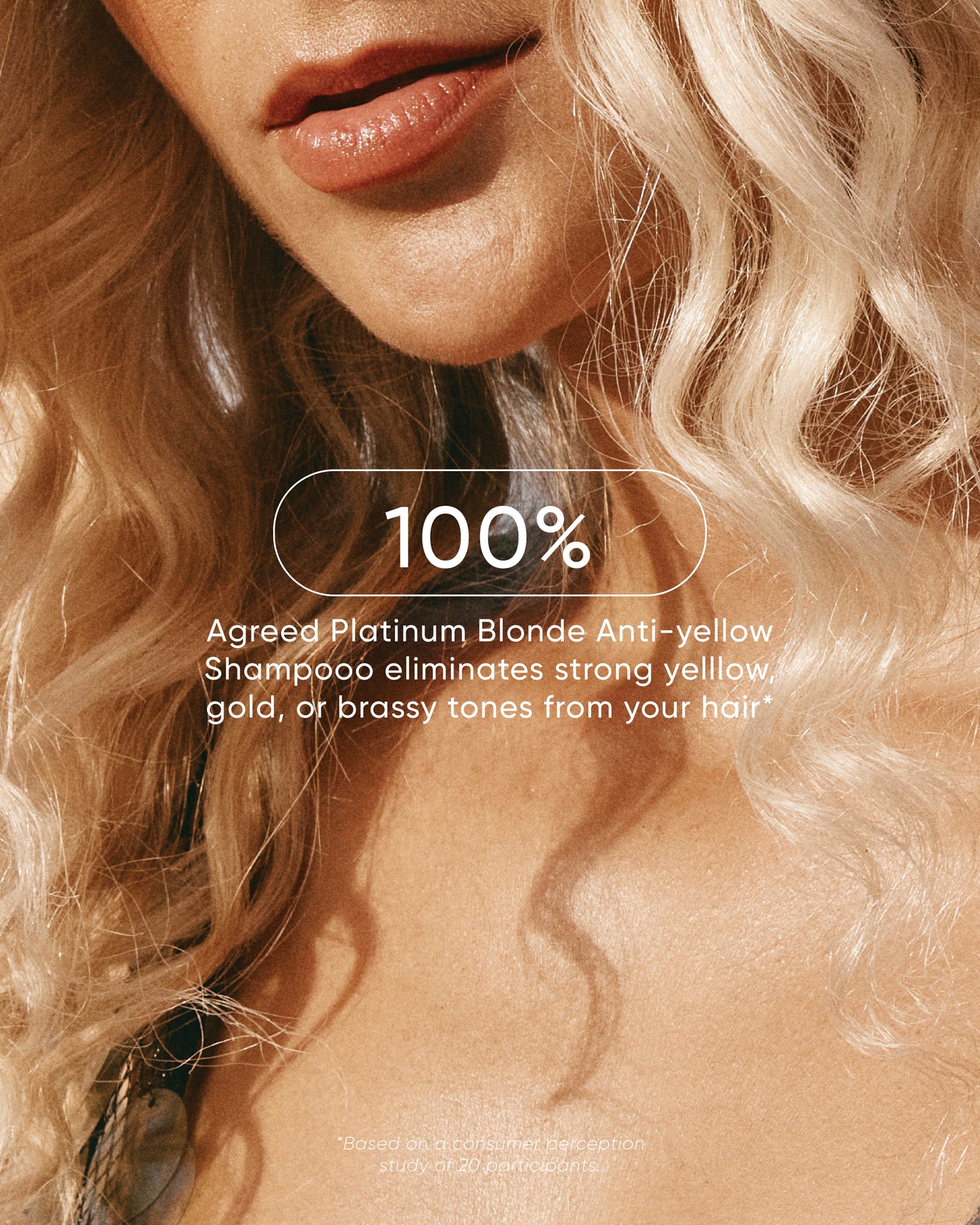 Signature Holiday Platinum Anti-Yellow Blonde Duo