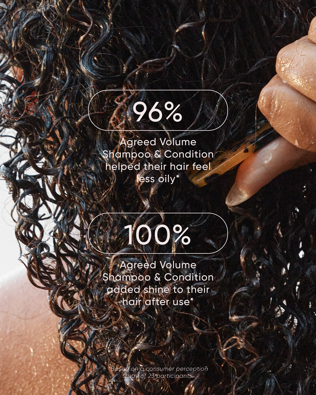 Signature Holiday Volume Duo