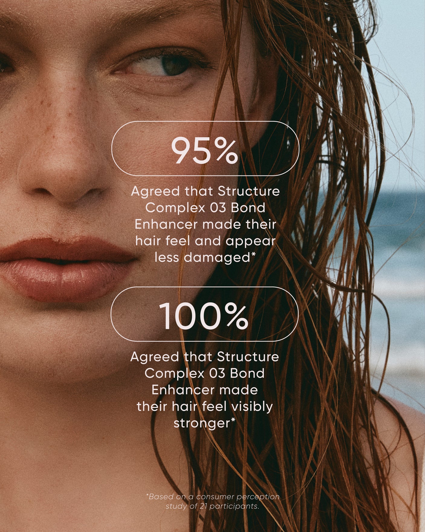 Signature Holiday Structure Complex Trio with Gift