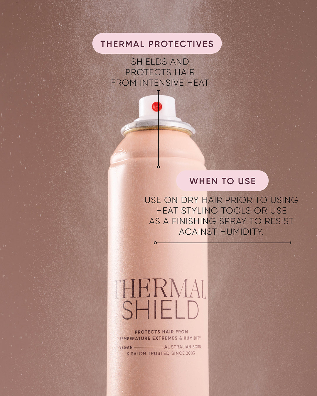 Thermal Shield