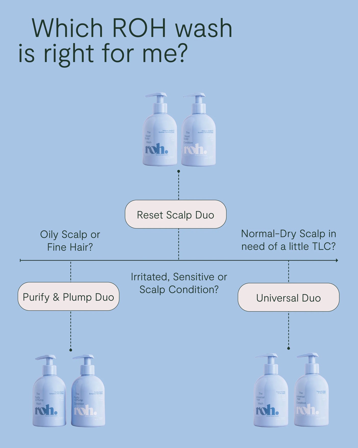 Purify & Plump Wash