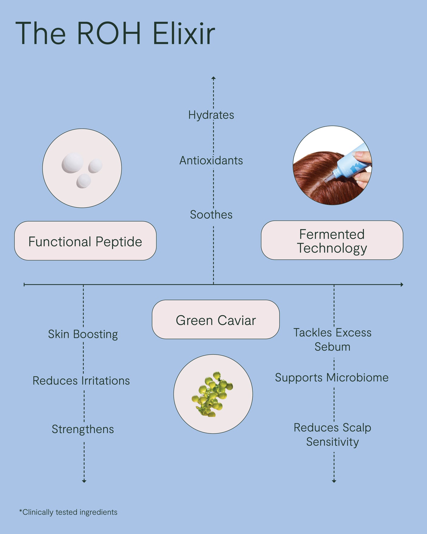 Scalp Reset Kit