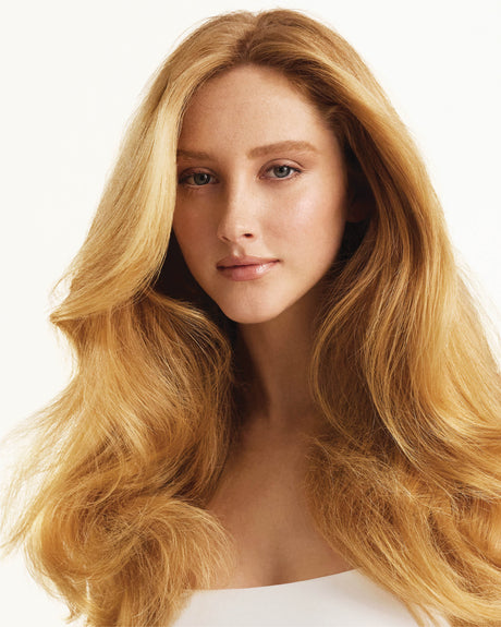 Signature Holiday Mini Blow Dry Duo