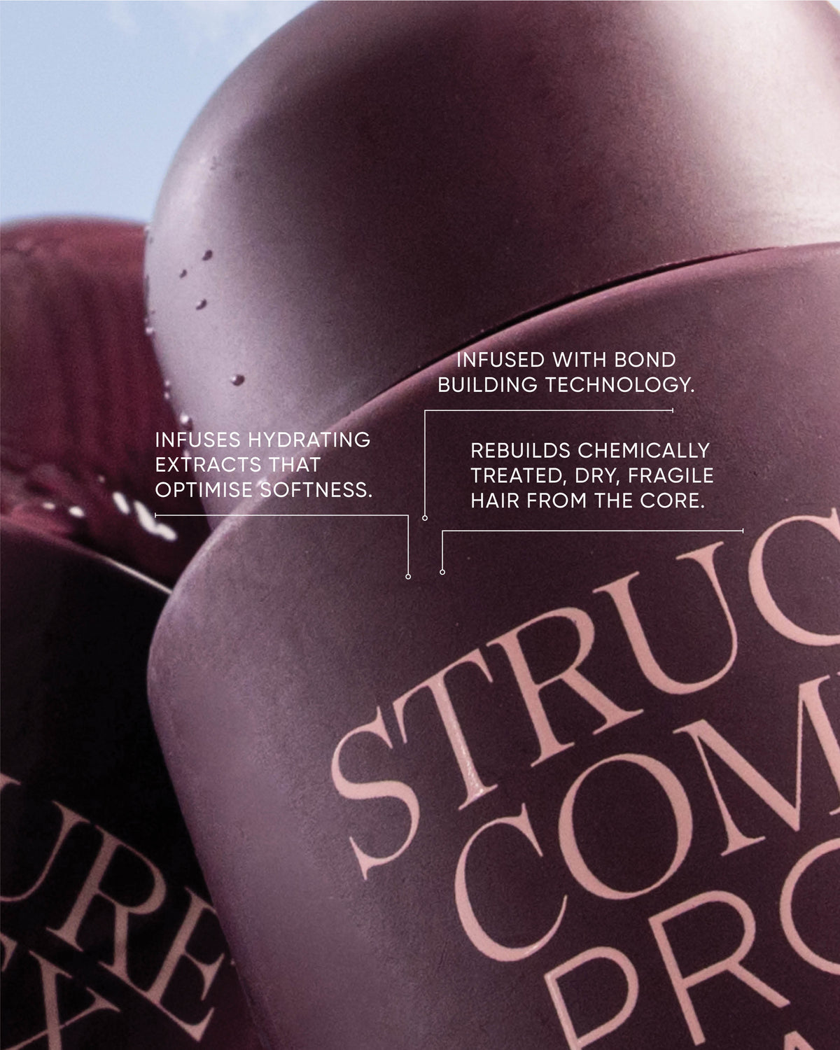Signature Holiday Structure Complex Trio with Gift