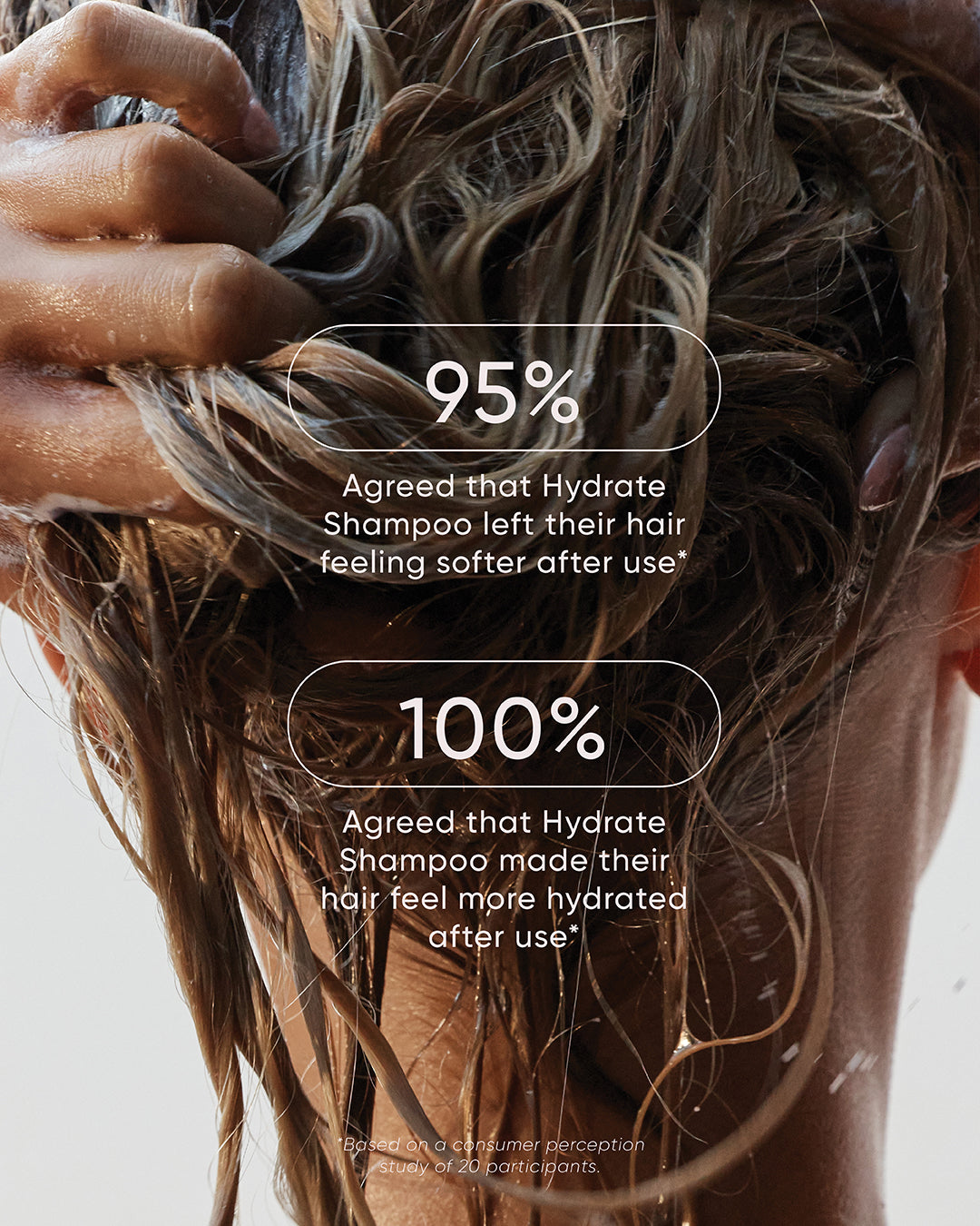 Hydrate Shampoo