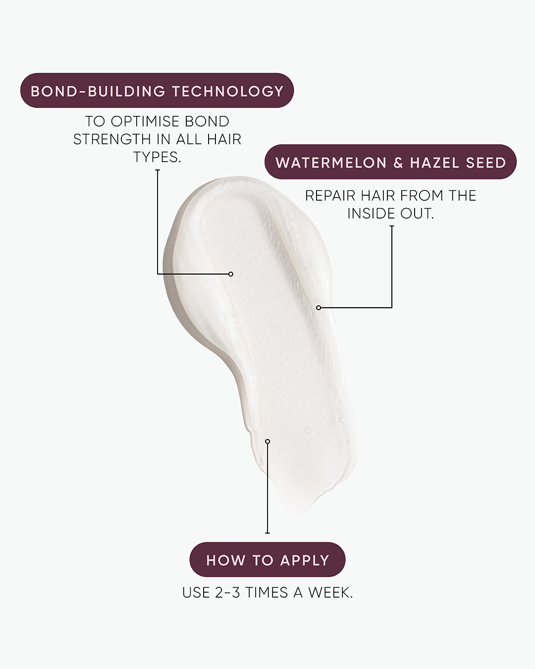 Structure Complex Protein Shampoo