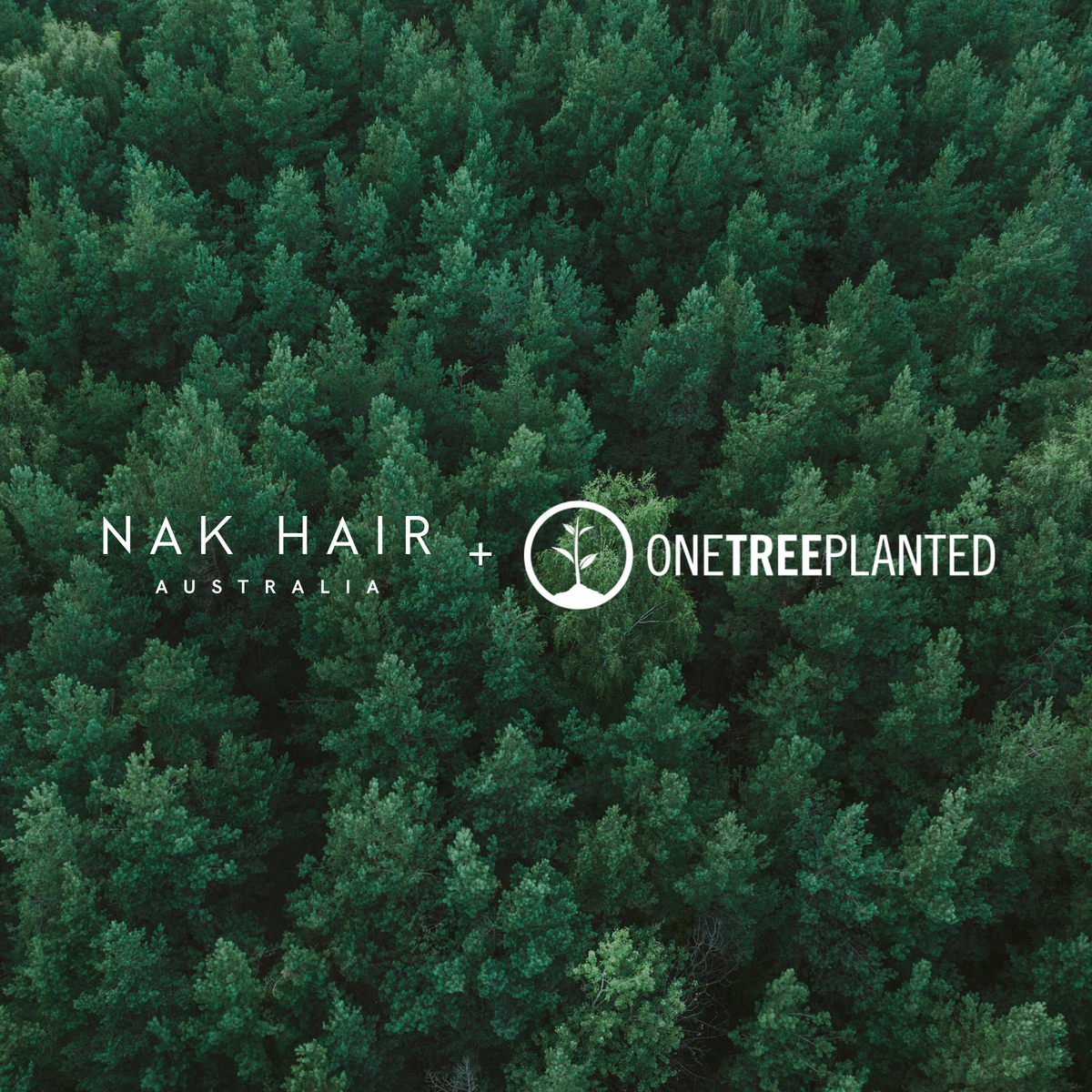 One Tree Planet One Tree Planted Partnership – NAK Hair