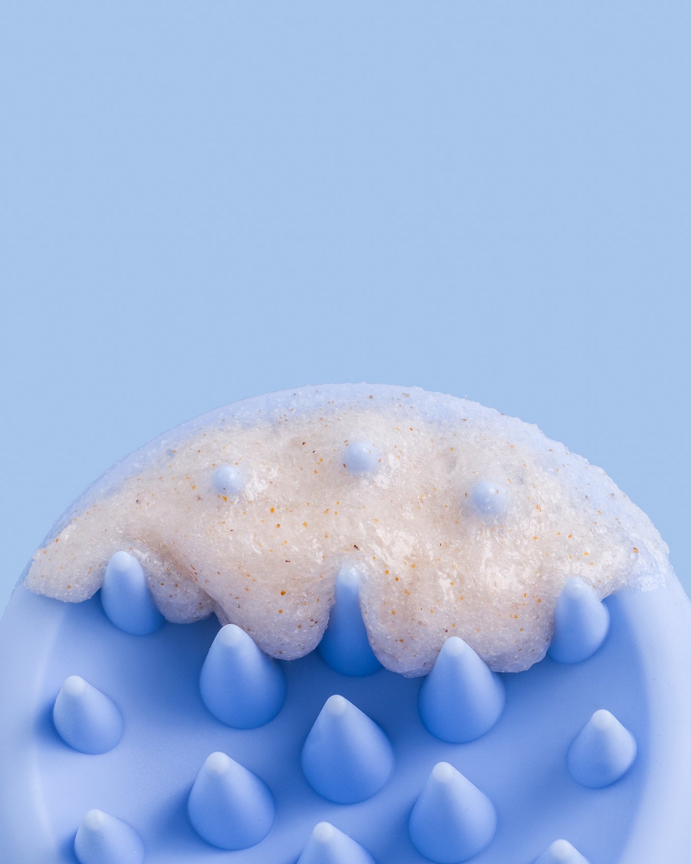 Scalp Brush