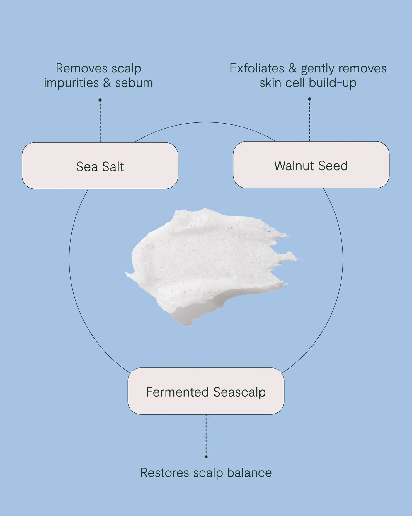 Clarify Scalp Scrub