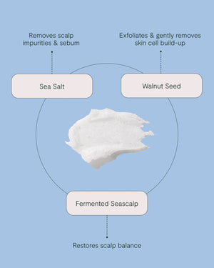 Clarify Scalp Scrub