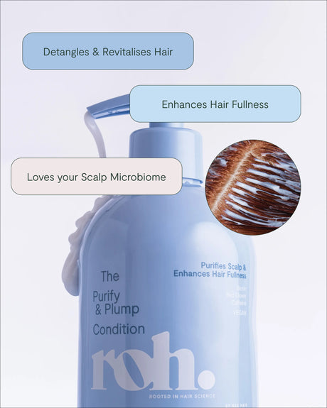 Purify & Plump Condition