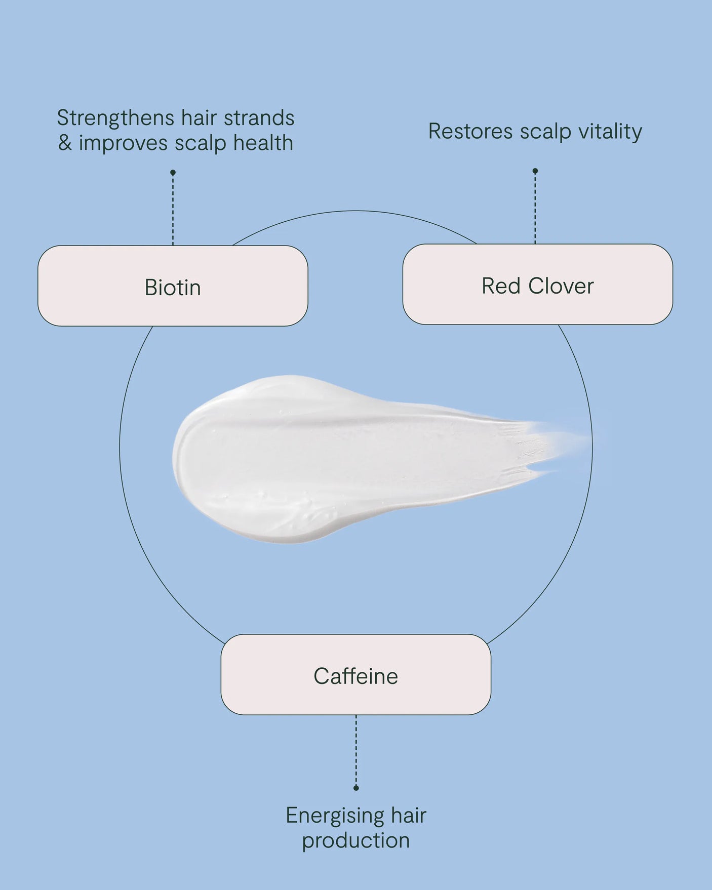 Purify & Plump Wash
